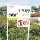 민재목장 축산신문