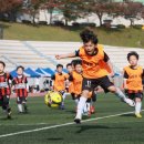 축구공(함성) 이미지