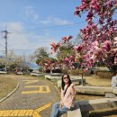 왕지로타리 이미지