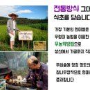 성기호전통발효연구소 네이버블로그