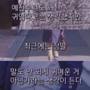 최고집짬뽕 - 용인시 수지구 정평로13번길 25 | 최고집짬뽕