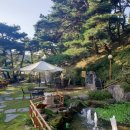 이연숙농장 | 대구 팔공산 산속의 대형카페 트리팜, 아이들과 오기 좋은 곳!! 토끼도 있어요.