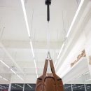 체형교정 태권도 이미지