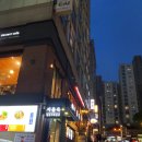 바우하우