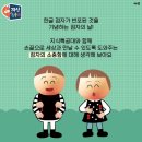 베스트올 제일 이미지