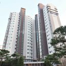 스위첸(아) 이미지