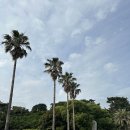 해비치수영장 이미지