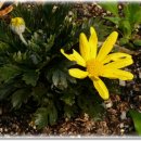 동서3리 이미지