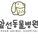 하은메디컬 이미지