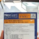 연지약국 이미지