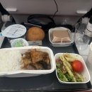 에어프랑스 후기(제발 비행기 탈 때 컵라면이랑 패딩 챙겨가세요...)