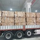 와룡자원 이미지