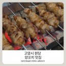 동행양꼬치 | 고양시 원당 양꼬치 맛집 N년 찐단골이 추천하는 금화양꼬치 솔직 후기