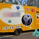 반려동물 펫시터 자격증 과정 | 반려동물직업 펫시터자격증학원 다니며 출장 애견 목욕 미용 트럭 창업했어요