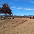 파크골프장 이미지