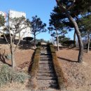 선성군 묘역 및 석물 이미지