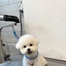 홍글몽글 이미지