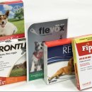 서영2농장 이미지