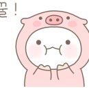 김경오빵집 이미지