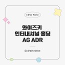 와이즈인터내셔널