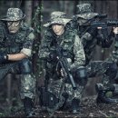 골든타이드픽처스 데일리안