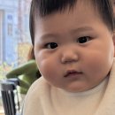 물푸레작은도서관 | 2026.03