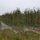 신덕농장 이미지