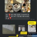 땡삼 이미지