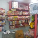 이향애견살롱 이미지