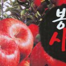 큰골농원 이미지