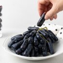 포도
