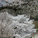 남면초등학교 이미지