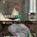 백년인테리어컨설팅 이미지