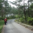 반천 경로당 티스토리