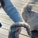 낙조11번가 이미지