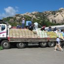 아이윌24시동물병원 이미지