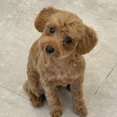 헬로우 그루밍 이미지