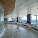 쇼펠리스 이미지