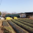 가람부동산중개사무소 이미지