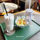 블루베리마을 | 안동 하회마을 카페 하모하모 후기｜오곡라떼,블루베리요거트스무디 맛본 안동 풍천면 카페