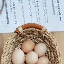 차우민박