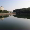 장산막걸리 이미지