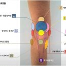 강남베드로병원 이미지