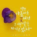 스타다육 이미지