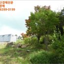 성북1리 마을회관 이미지