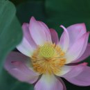 (주)태진화학 | [스크랩] 비료, 바로 알고 바로 쓰자