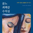 [도서정보] 분노 죄책감 수치심 / 리브 라르손 / 한국NVC출판사 이미지