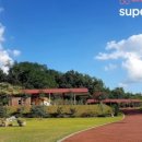 Daisy House - 송파구 | Daisy House