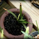 진성산전 이미지