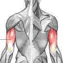 하트핏 휘트니스 이미지